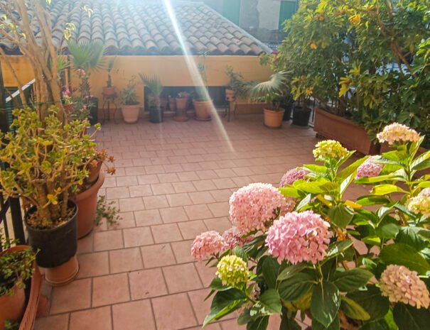 Terrazza - Casa Cossi